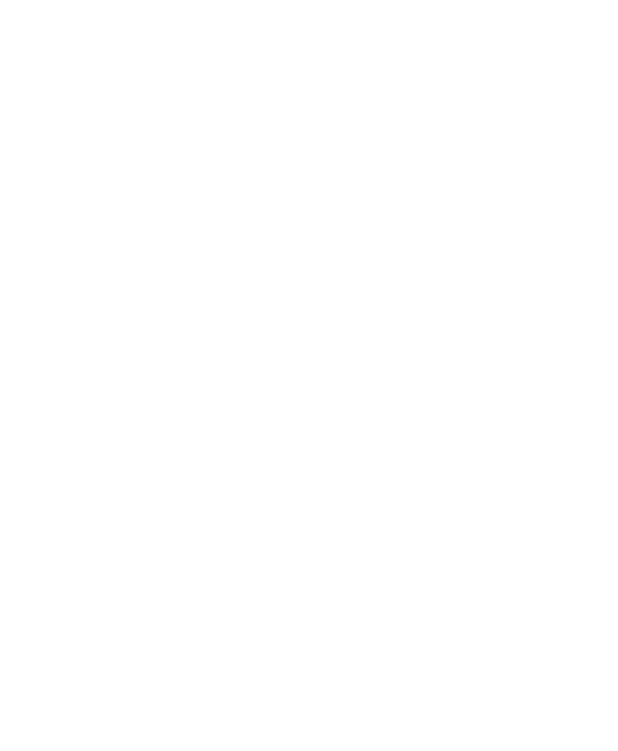 Site da Informática do IF Goiano